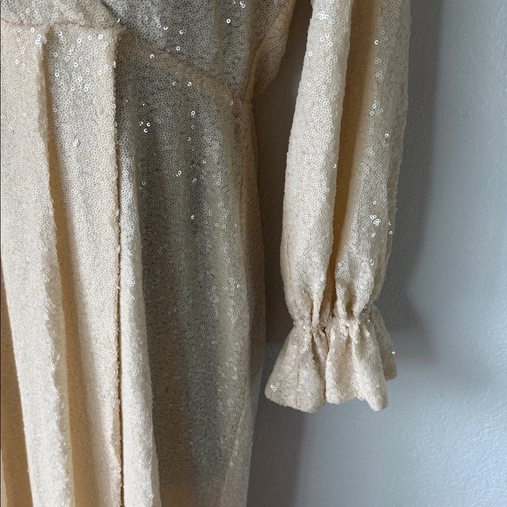 LPA Cream‎ Sequin Dress - Picture 4 of 7